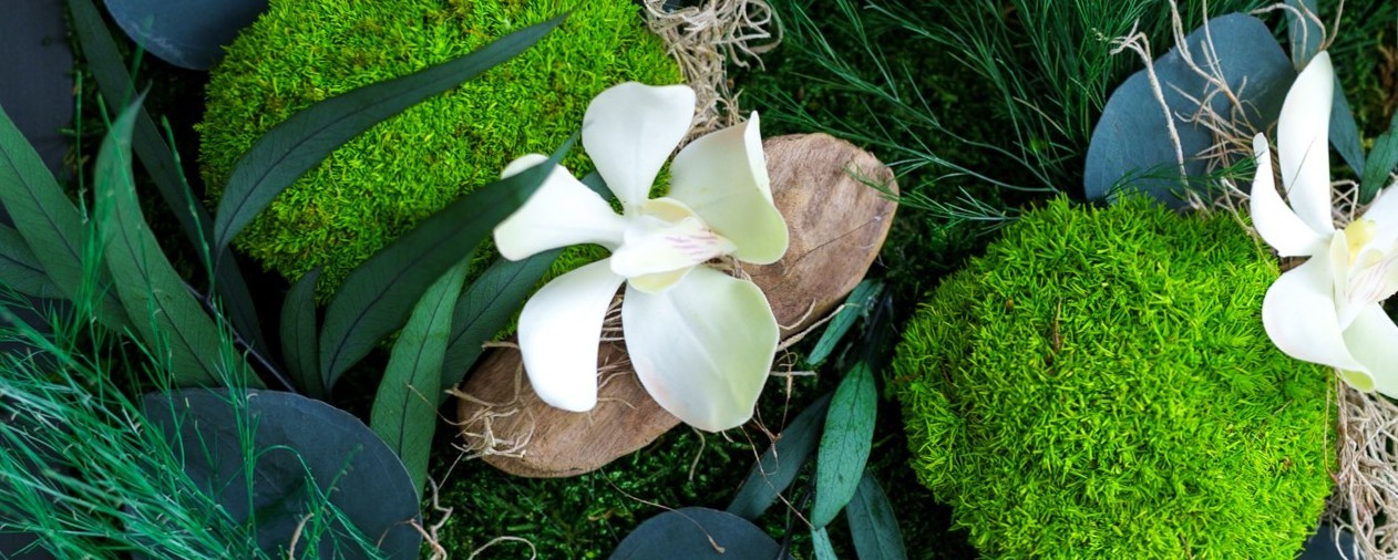 Tableau végétal stabilisé avec mousse et fleurs blanches